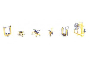 Training Day Fitness Course